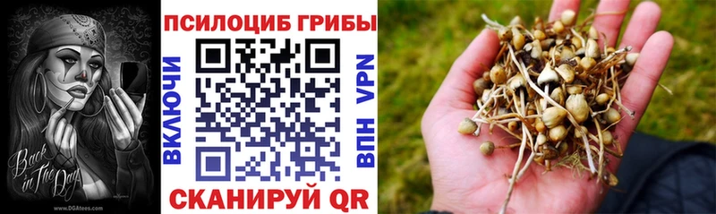 как найти закладки hydra как зайти Псилоцибиновые грибы MAGIC MUSHROOMS Железногорск